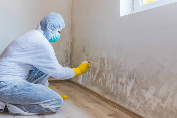 Crawl Space Mold Remediation treatment of floor joists in Cape Charles