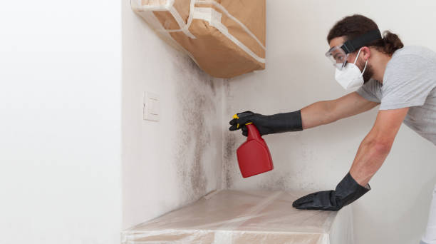 Attic Mold Remediation treatment on roof deck in Cape Charles
